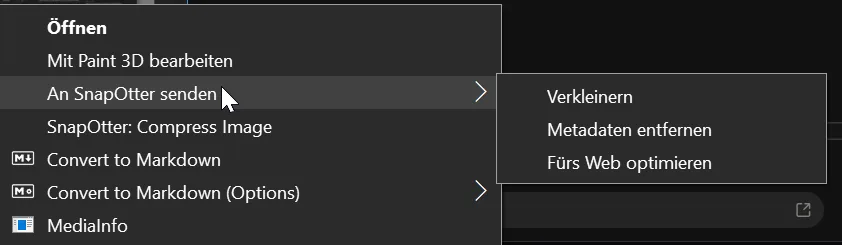 The finished menu: a Send to SnapOtter submenu holding three entries, and one tool placed on its own.