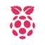 Raspberry Pi OS